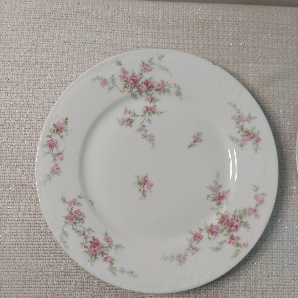 ANTIQUE Theodore Haviland Limoges France Patent Applied 2 Dinner‎ Plates Floral